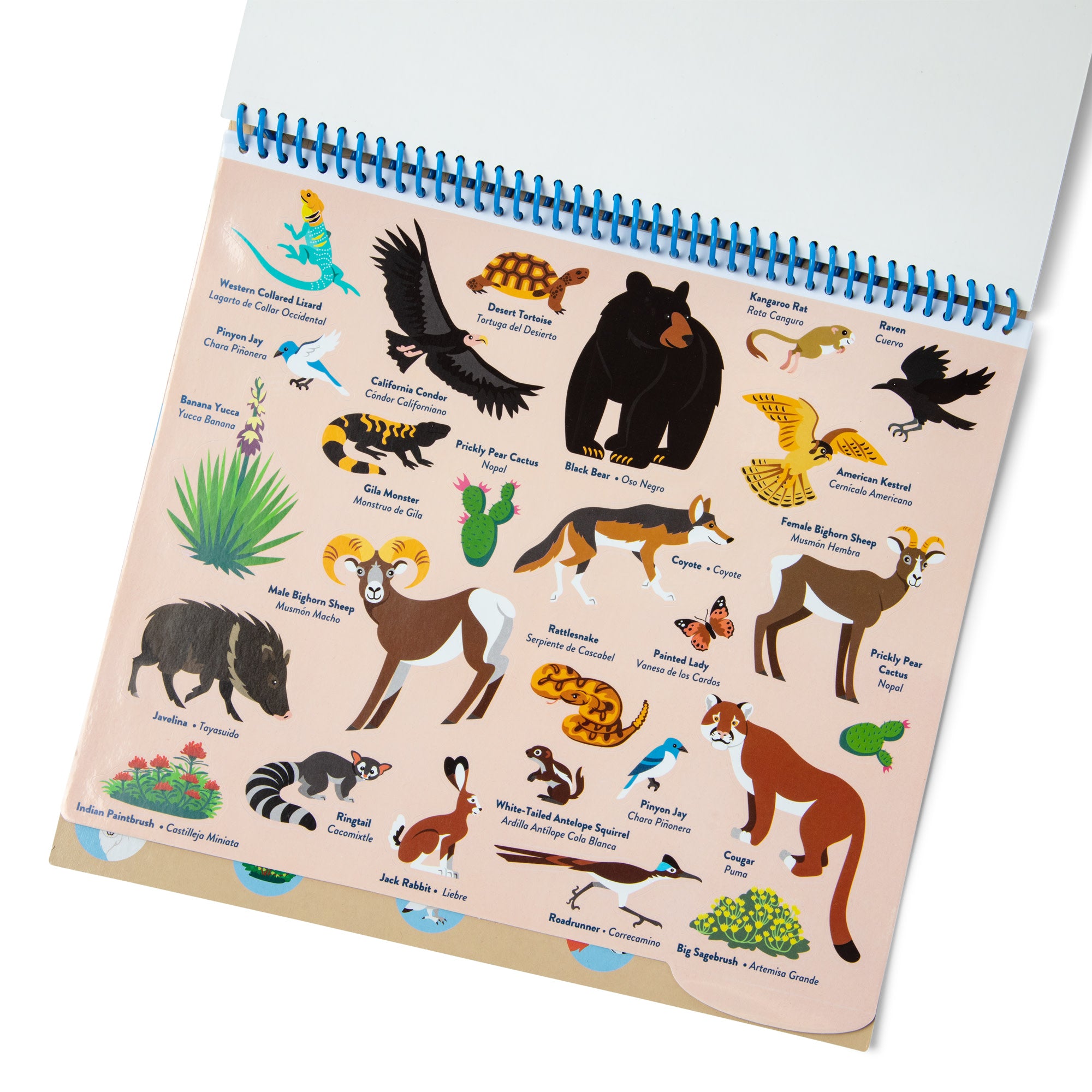 National Parks Reusable Stickers ?C Park Animals (5 Scenes. 121 Stickers)