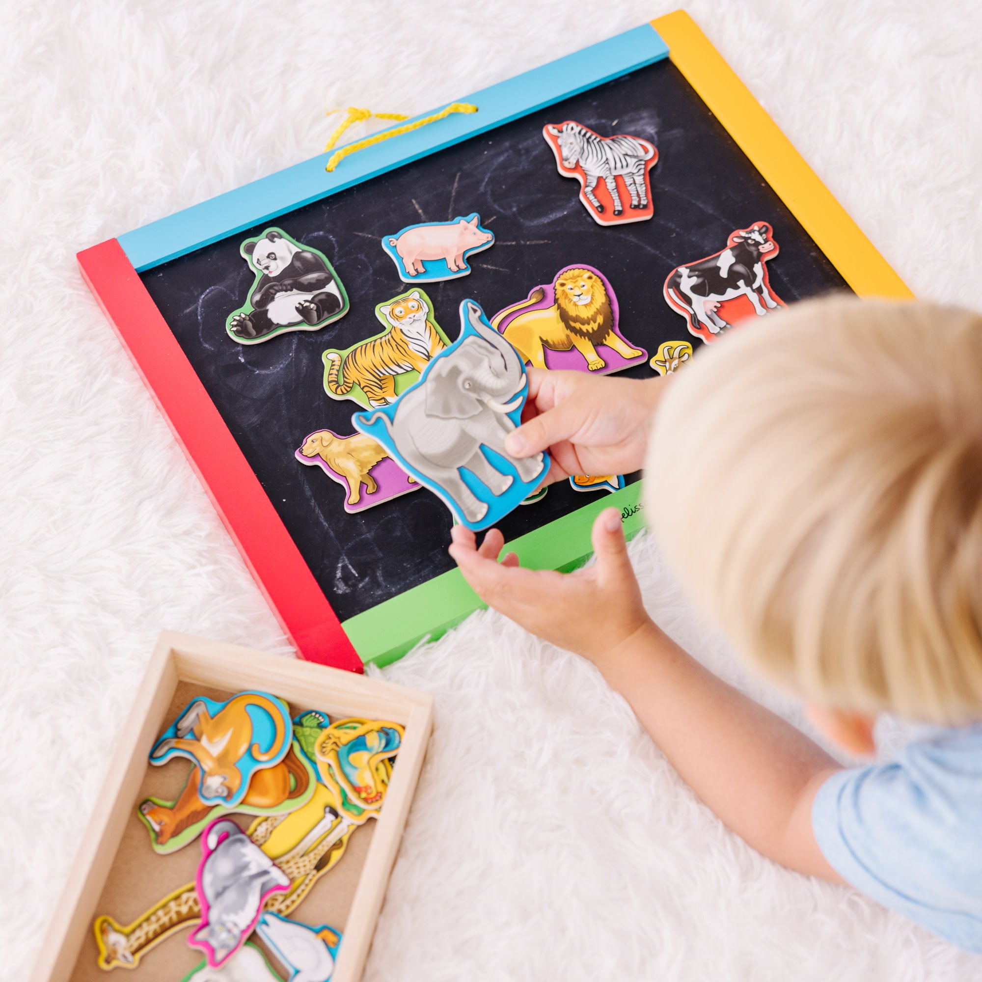 Wooden Animal Magnets - Image 6