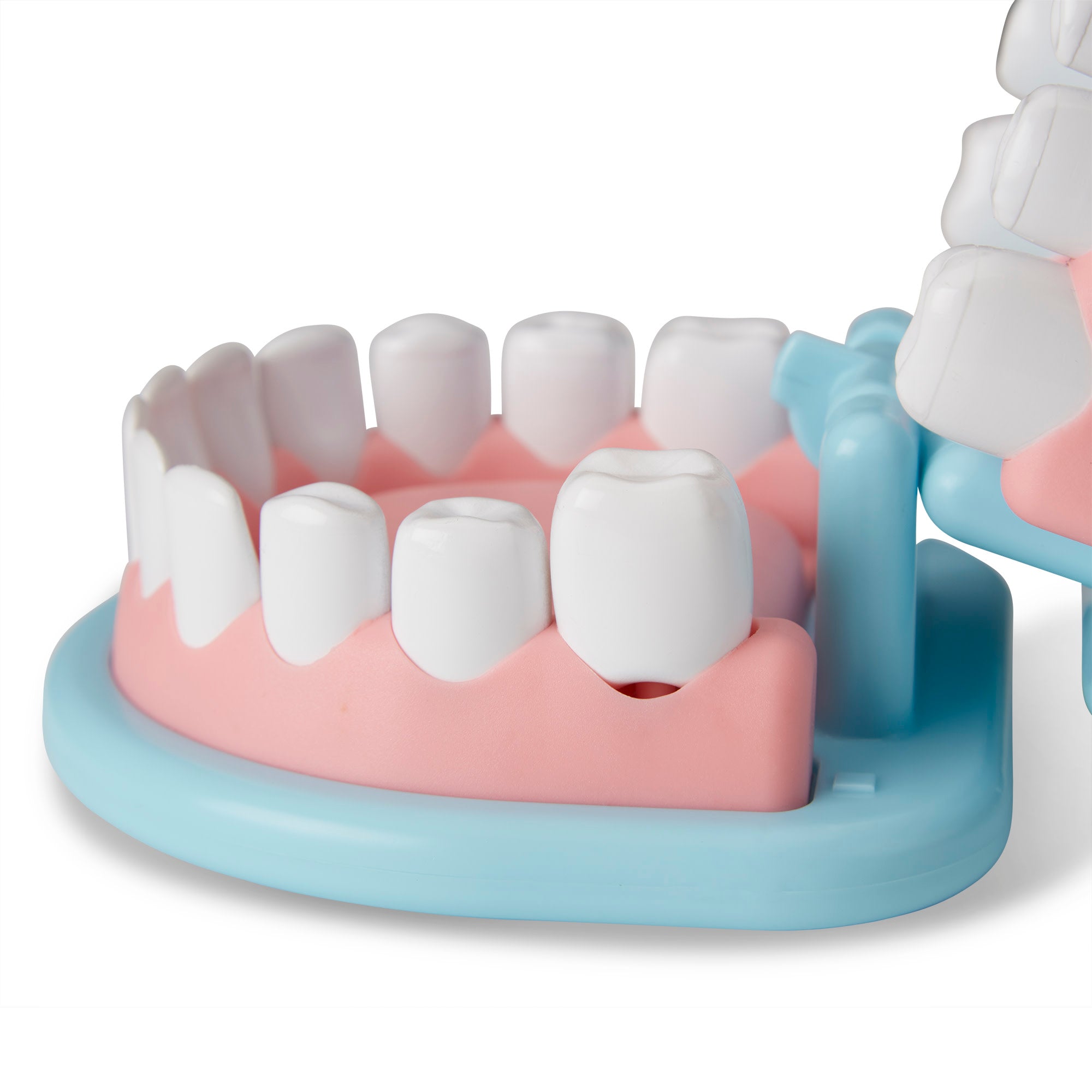 Super Smile Dentist Play Set - Image 3